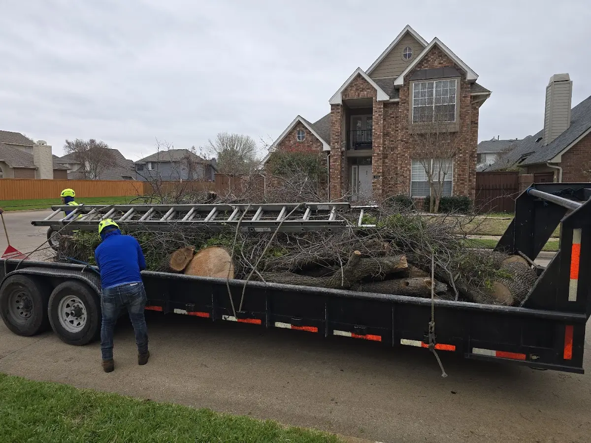 Expert Tree Pest Control with proper safety equipment in West Decatur
